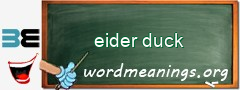 WordMeaning blackboard for eider duck